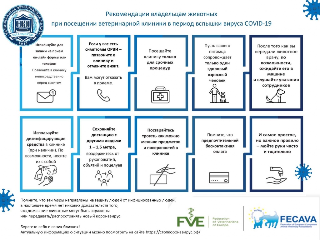 Рекомендации-владельцам-животных-НВП.jpg